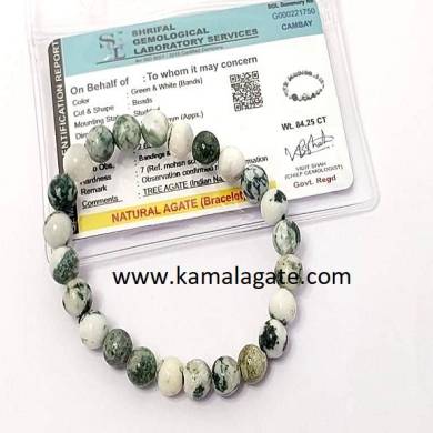 Gemstone Tree Agate 8 MM Bracelets Elastic With Certificate Card